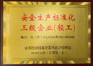 安全生產(chǎn)標(biāo)準(zhǔn)化三級企業(yè)